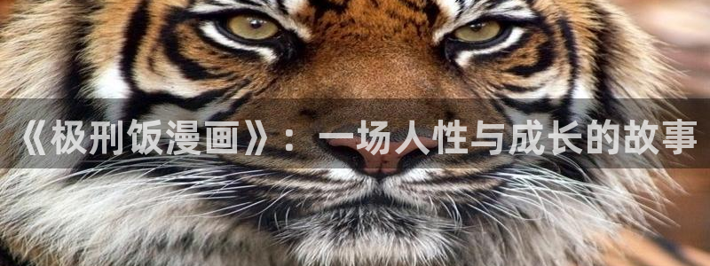yy漫画在线观看视频：《极刑饭漫画》：一场人性与成长的故事