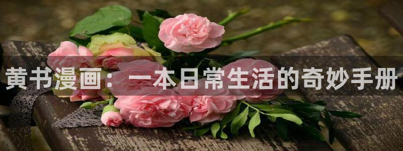 免费看yy漫画：黄书漫画：一本日常生活的奇妙手册