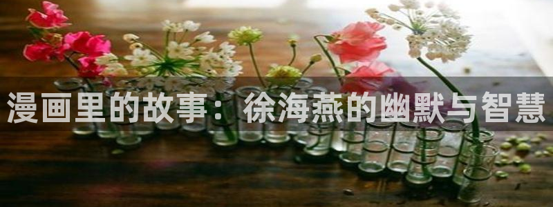 yy漫画正：漫画里的故事：徐海燕的幽默与智慧