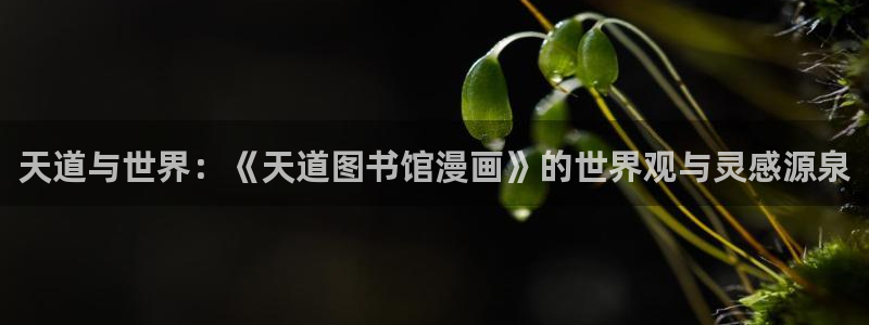 yy漫画免费：天道与世界：《天道图书馆漫画》的世界观与灵感源泉