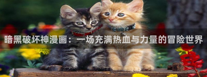 yy漫画h：暗黑破坏神漫画：一场充满热血与力量的冒险世界