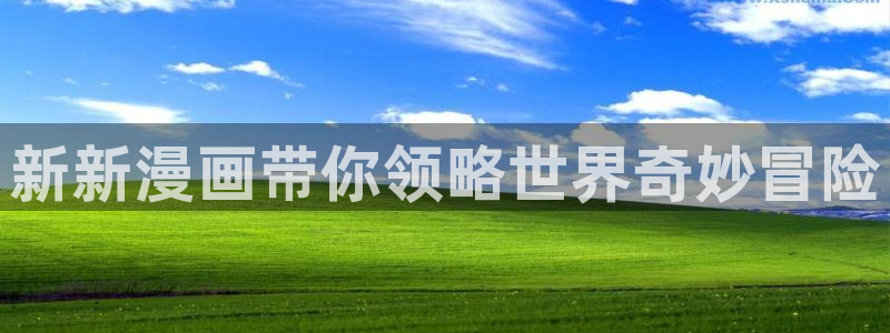 羞羞yy漫画：新新漫画带你领略世界奇妙冒险