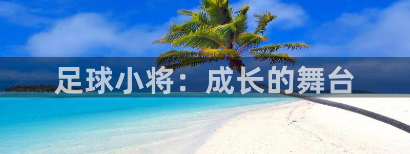 yy漫画首：足球小将：成长的舞台
